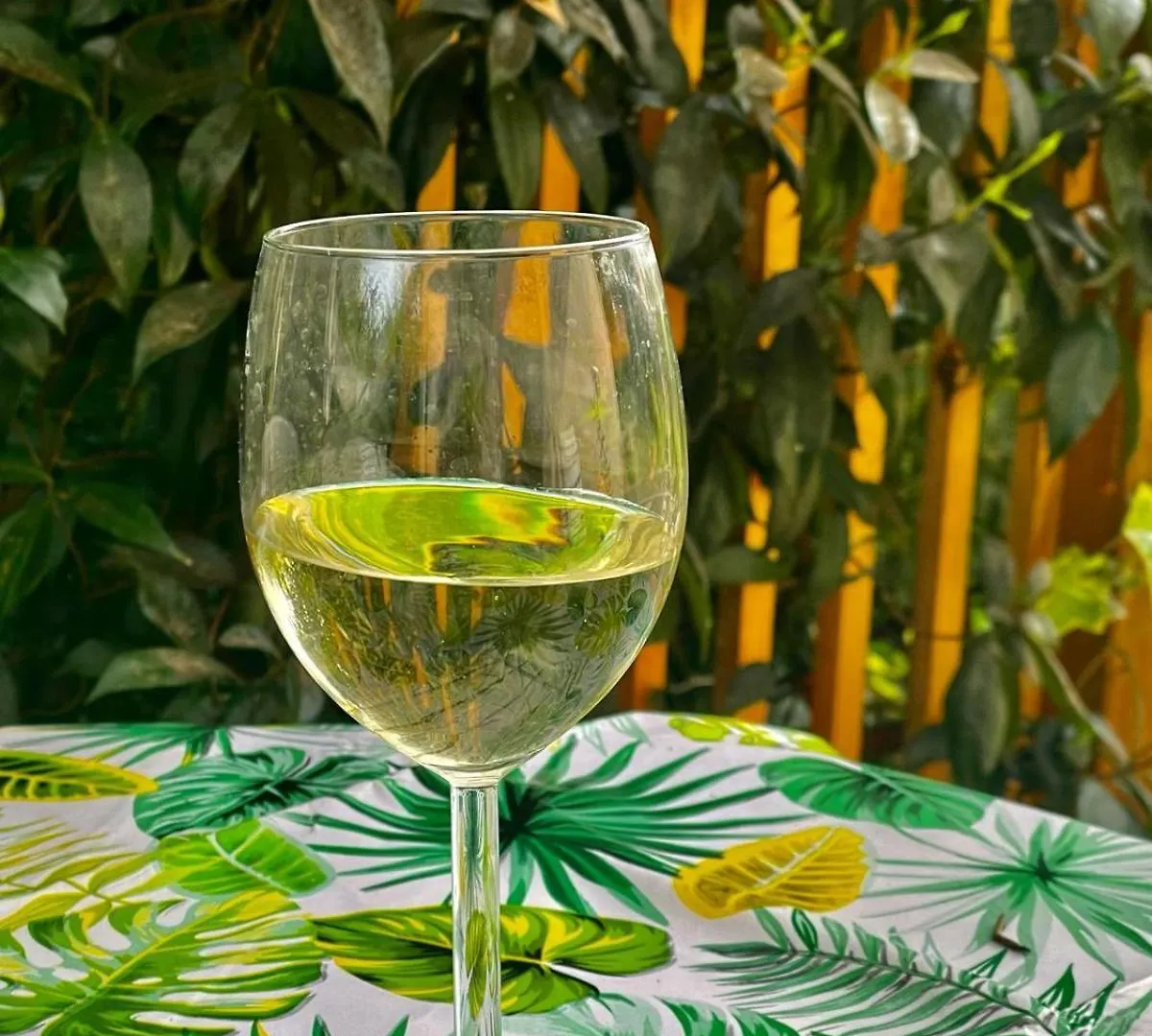 Il Salice Bianco B&B Casa Vacanze Carrara