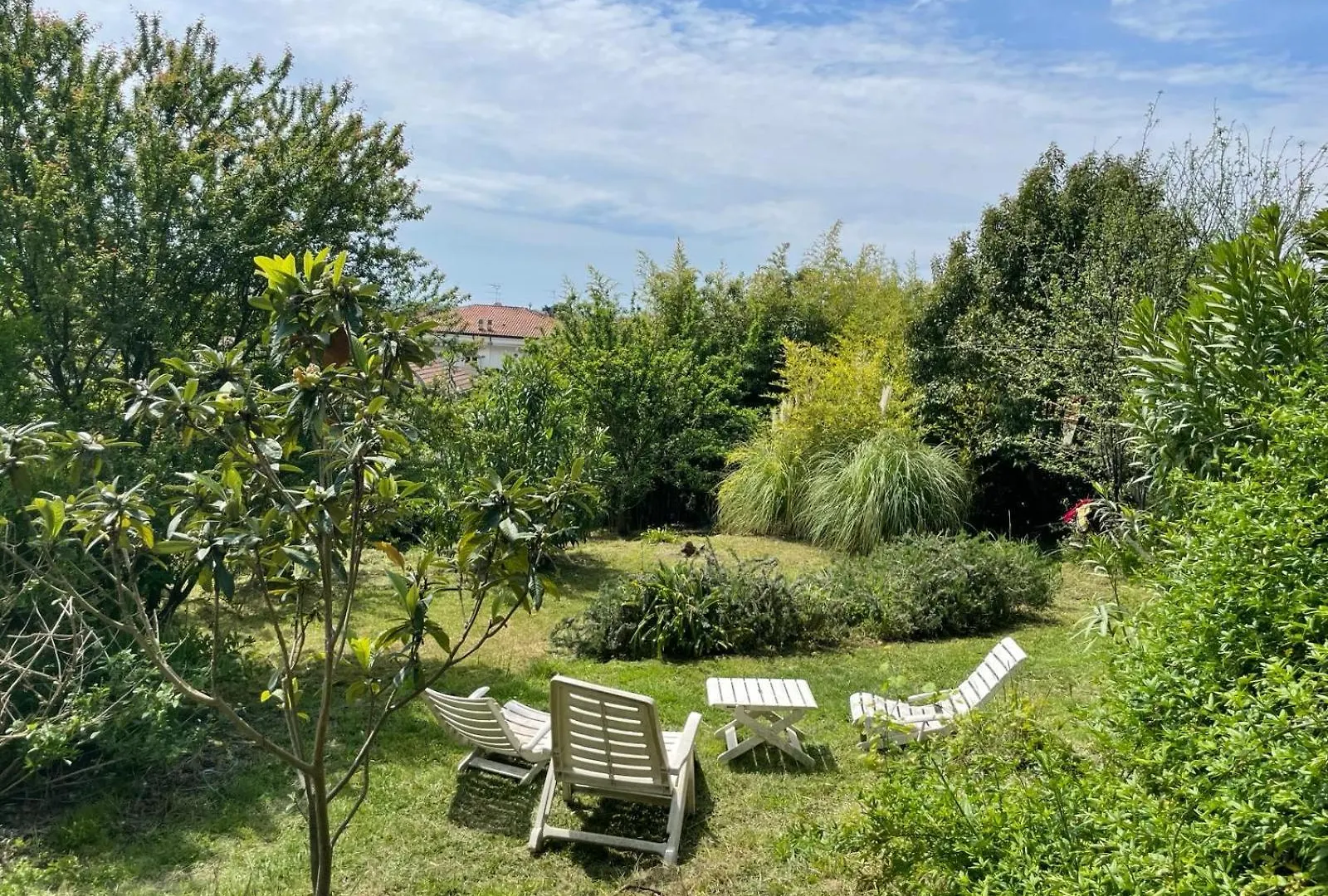 Il Salice Bianco B&B Casa Vacanze Carrara 0*,