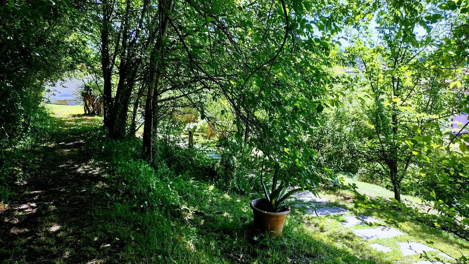 Il Salice Bianco B&B Casa Vacanze Carrara Itália